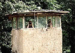 Border_Guards_Bernauerstrase.jpg (29558 bytes)